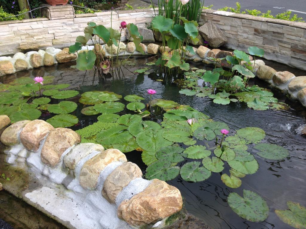 Songyuan B&B Lugu Luaran gambar