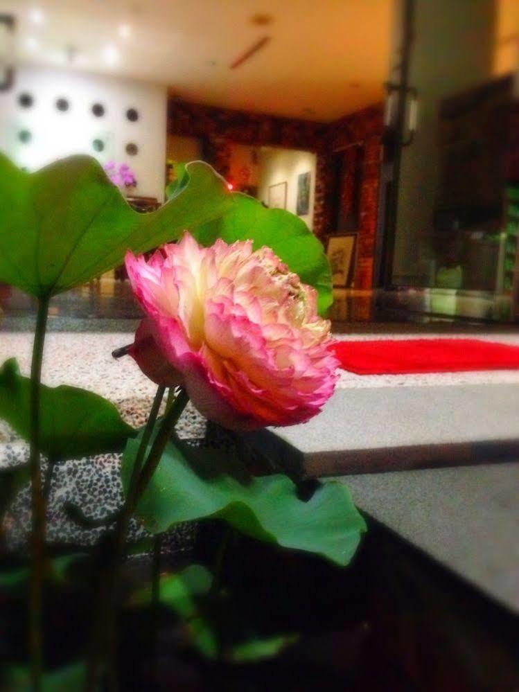 Songyuan B&B Lugu Luaran gambar